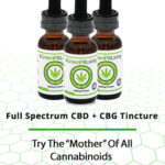 CBD-sidebar