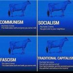 Capitalism vs the others