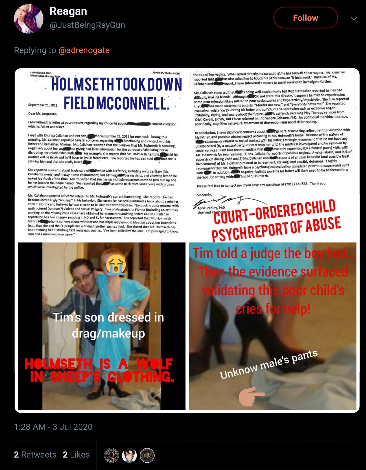 Timothy Holmseth Child Abuse