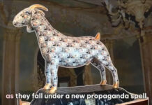 Trust the Plan or Not