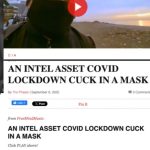 Intel Asset Lockdown Mask Cuck Victor Hugo