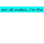 VH Snake Handler