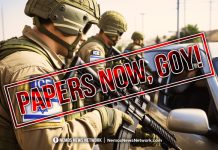 PAPERS NOW, GOY! – IDF>ICE GOES WILD – The BEATDOWN OF AMERICAN CITIZENS