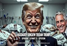Vaxdaddy Kingjew Trojan Trump: Episode 4 Part 3 – Epstein