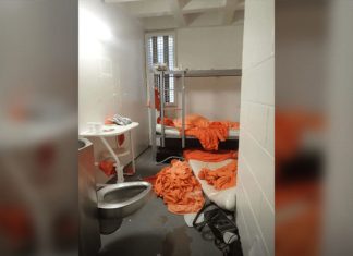 Believe Us Goy! – Epstein tried to kill himself at least three times in jail