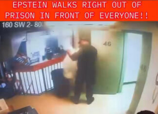 Epstein Lives