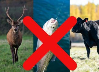 New Oregon Initiative Would Criminalize Hunting, Fishing And Farming
