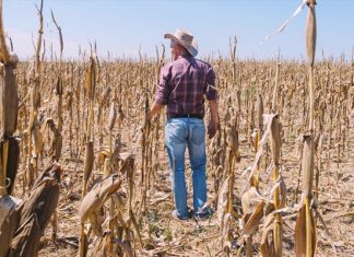Global Food Crisis Inbound – Scientists Warn Unprecedented ‘Godzilla El Niño’ Is Forming…