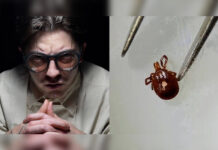 Fears Grow That Rapidly Spreading Meat-Allergy Tick Is Genetically Engineered Bioweapon