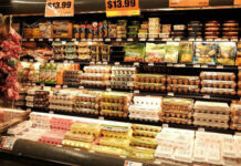 Food Supply Attacks – 19 Million Eggs Pulled As Salmonella Outbreak Sickens 98 Across 17 States