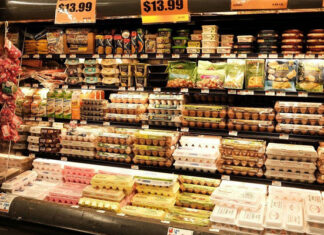 Food Supply Attacks – 19 Million Eggs Pulled As Salmonella Outbreak Sickens 98 Across 17 States