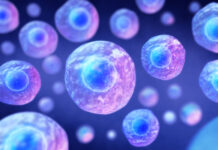 Synthetic cell marks new step toward artificial life – researchers