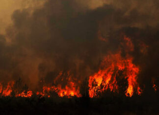 The “Wild” Fires Burning Down The West – Where They Are, Fires Begin