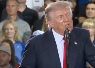 Trump gets called a “pedophile protector” at his own rally in Michigan. Responds with Namecalling
