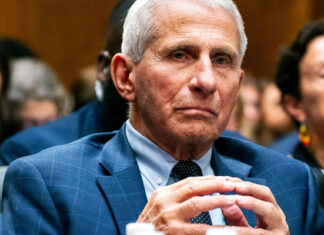 Fauci Faces Prison After Senate Votes to Refer Him for Criminal Prosecution