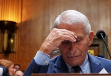 Fauci In Hiding As ABC Censorship Bombshell Explodes