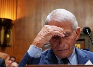 Fauci In Hiding As ABC Censorship Bombshell Explodes