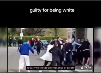 Ireland Under Seige – Kalergi Plan
