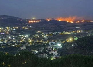 Israeli occupation forces burn over 120 hectares of centuries-old olive groves in south Lebanon