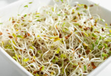 More Food Borne Illness – Alfalfa Sprouts Linked To Bacterial Infections In 15 US States