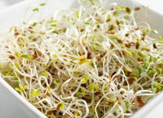 More Food Borne Illness – Alfalfa Sprouts Linked To Bacterial Infections In 15 US States