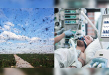 Mosquitoes Spread Deadly Virus in Multiple States, Cases Surge