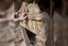 Mysterious Watcher Relics with Joe Feltz (Recently DEAD!)
