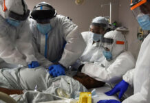 Plandemic Watch – Prion Disease… Biologists Sound Alarm Over Incurable Deadly Threat to Humans