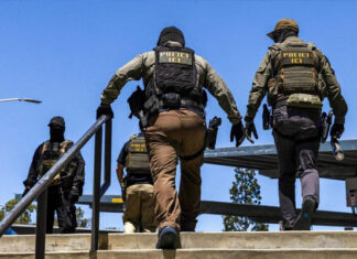 Shocked! ICE To Equip Officers With Gloves That Can Deliver Electric Zaps