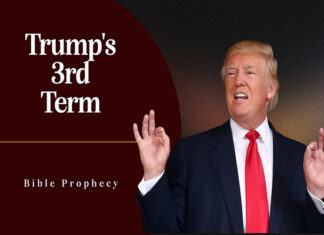 Trojan Trump Term Three
