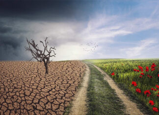 ‘Godzilla El Niño’ could cause 451,000 deaths worldwide by February 2027