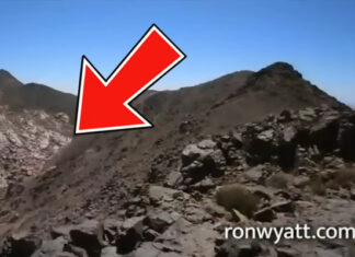 Ron Wyatt MIRACLE Nobody is TALKING ABOUT
