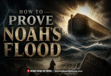 Debate Series – How to Prove Noah’s Flood