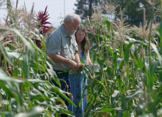 He Built His Farm On These Biblical Principles, Now He’s Giving Back to the Kingdom