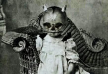 Trick or Treat?